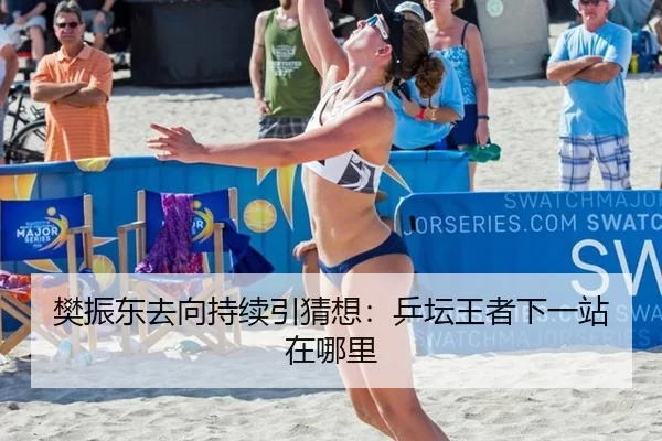 樊振东去向持续引猜想：乒坛王者下一站在哪里